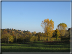 foto Paesaggi Autunnali tra le colline Fontesi